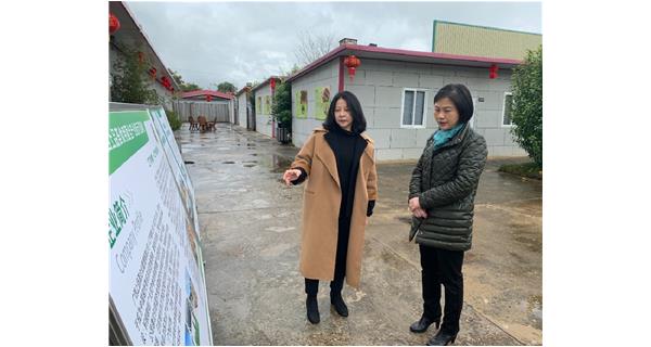 梧州市副市長(zhǎng)蘇穎到上品薈食用菌基地調(diào)研
